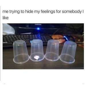 Meet your Posher, Jaye